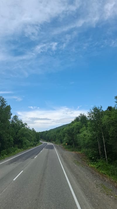 An asphalt road with white lane markings winds through a dense, green forest. The road is in the foreground, leading into the distance. On either side of the road, tall, lush trees form a natural corridor. The sky above is a vibrant blue, scattered with wispy white clouds. The scene appears to be a scenic drive through a wooded area, likely in the outskirts or a rural setting. The image does not contain any people or specific landmarks that would help pinpoint the exact location within Babushkin, Russia.