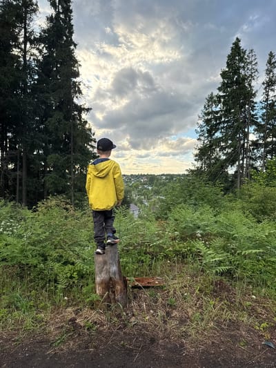 A young boy stands on a tree stump, facing away from the camera and looking out over a village in Gorka, Russia. He is wearing a yellow hooded jacket, dark pants, a black baseball cap, and sneakers. The boy is positioned in the foreground, amidst lush green foliage and tall evergreen trees. In the background, the village appears nestled among rolling hills, with houses and buildings visible beneath a cloudy sky. The scene conveys a sense of quiet observation and exploration.