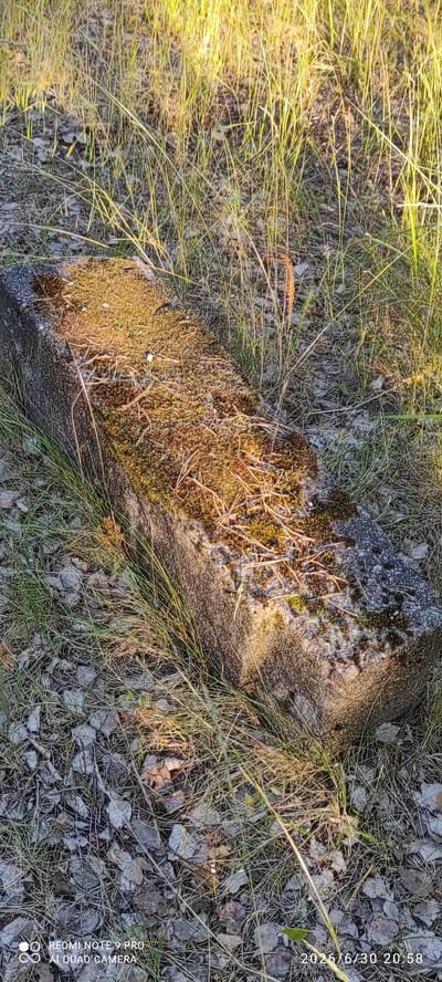 An eye-level, close-up, outdoor, still photograph captures a weathered, moss-covered concrete structure, possibly a marker or part of a larger object, lying on the ground amidst dry grass, fallen leaves, and sparse vegetation. The structure is elongated and rectangular with rounded edges. Its surface is textured and uneven, heavily coated with vibrant green moss and interspersed with dry, brown organic debris, possibly pine needles or small twigs. The lighting suggests it is late afternoon or early evening, with the sun casting long shadows and highlighting the textures of the grass and the object. The background consists of more dry grass and foliage. The bottom right corner of the image displays a timestamp reading "2026/6/30 20:58" and a camera model identifier "REDMI NOTE 9 PRO AI QUAD CAMERA" in the bottom left corner. The scene appears to be located in a natural, undeveloped area.