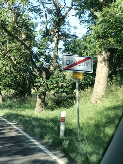 The image shows a road sign in a rural setting, likely in Šternov, Czechia. The sign, which is white with a red diagonal stripe, reads "DIVISOV". Below it, a smaller yellow sign displays the number "0172". The sign is planted on a metal pole amidst lush green grass and trees. The trees are full of leaves, suggesting it is daytime, possibly late morning or early afternoon, with bright sunlight casting shadows on the road. The sky is visible and appears blue and clear. A portion of the road is visible in the foreground, with a white line marking its edge. There are also some smaller road markers with red and white stripes on the side of the road. The overall impression is one of a peaceful, sunny day in the countryside. There are no people visible in the image, and the focus is on the natural landscape and the road signage. The scene depicts a typical rural environment, emphasizing the transition into or out of the named locality.