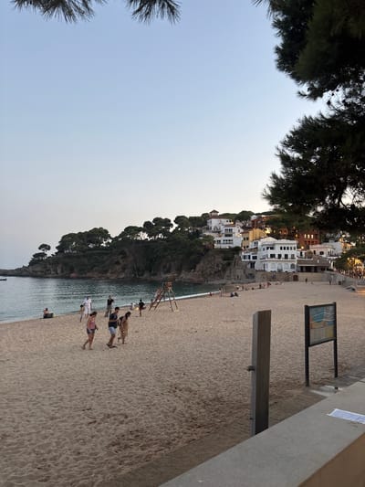 The image depicts a beach scene in Llafranc, Spain, during the late afternoon or early evening. The sky is a pale blue, transitioning to a lighter hue near the horizon. Pine trees overhang the top and right edges of the frame.
The beach itself is sandy, with visible footprints and some scattered debris. A group of people are scattered across the sand. In the mid-ground, a few individuals are walking, including a woman in a pink top and shorts, a man in a dark t-shirt and shorts, and a woman in a light-colored dress. Another group appears to be gathered near a playground structure with a slide. Further in the background, several people are sitting on the sand near the water's edge.
The sea is calm and blue, with small waves lapping the shore. Along the coastline, a town with white and colorful buildings is nestled on a hill covered in dense green trees. The architecture is characteristic of a Mediterranean coastal town.
In the foreground, a concrete barrier runs along the bottom of the image. To the right, a wooden post with a shower head is visible, along with a signpost containing a map or informational display. The overall atmosphere is relaxed and serene, suggesting a pleasant evening at the beach.