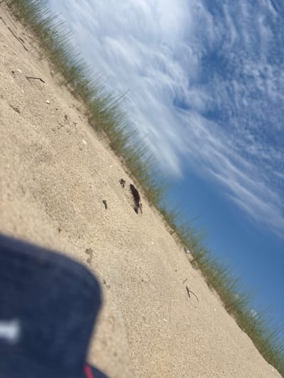 The image shows a sandy slope with sparse green grass growing along the top edge. The sand is light brown and textured, with a few small pebbles and pieces of debris visible. In the foreground, a portion of a dark blue object, possibly a hat or clothing, is out of focus. Above the grassy edge, a clear blue sky is visible with wispy white clouds. The scene appears to be a natural outdoor environment, potentially a beach or sand dune. The perspective is tilted, suggesting the photo was taken from a low angle. There is no indication of specific structures or landmarks that would definitively place this scene in Bliznatsi, Bulgaria, other than the user's prompt.