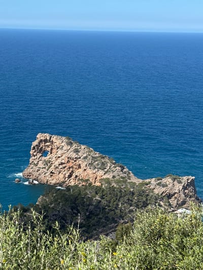 The image presents an elevated, panoramic view of the coastline near Deià, Spain. In the midground, a prominent, light brown and orange rocky promontory, identified as Sa Foradada, extends into the dark blue Mediterranean Sea. A distinct, naturally formed circular aperture is visible through the rock mass on its left side. Sparse dark green vegetation, including small trees and shrubs, is present on the rock formation. The background consists of the vast, calm, dark blue sea, extending to a clear horizon line where it meets a light blue sky. The immediate foreground shows out-of-focus green leafy branches and foliage from coastal shrubbery. No individuals, animals, or human actions are depicted in the scene. The environment is illuminated by bright, clear daylight.