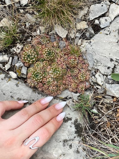A hand with pale skin, elongated fingernails painted with a French manicure, and a silver wavy ring on the index finger is reaching towards a cluster of small, rosetted succulents. The succulents are green with pinkish-red tips and are growing amongst rocks, dry grass, and soil. The scene appears to be outdoors, possibly a rocky terrain. The location is stated as Petrovskoye, Russia.
