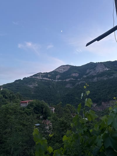 The image depicts a mountainous landscape with a village nestled amongst the trees. The mountains are covered in lush green foliage, with rocky outcrops visible on their slopes. A crescent moon is visible in the pale blue sky, along with a few wispy clouds. In the foreground, a plant with large green leaves is in focus. In the mid-ground, several houses with red-tiled roofs can be seen peeking through the trees. The overall impression is one of a peaceful, rural setting in the vicinity of Bov, Bulgaria.