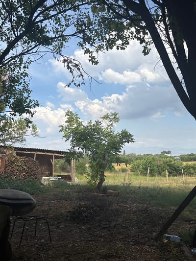 The image depicts an outdoor scene in the rural area of Жібек жолы ауылдық округі, Kazakhstan. In the foreground, a dark, earthy area is visible, covered with fallen leaves and small branches, suggesting an unkempt yard or garden. A dark, metal-framed chair with a rounded seat is positioned in the lower left quadrant of the image. To the left of the chair, a large pile of stacked firewood or branches is visible. Behind this pile is a rustic, open-sided shelter with a corrugated roof, supported by wooden beams. A chain-link fence can be seen within the shelter.

In the mid-ground, a young tree with green leaves stands prominently. Beyond this tree, a field of dry, yellow grass stretches towards a line of green bushes and trees. Wooden fence posts with visible wire fencing run horizontally across the mid-ground. Further in the distance, rolling hills are faintly visible under a bright blue sky dotted with white, fluffy clouds.

The overall impression is one of a rural, possibly agricultural setting, with elements of a working farm or homestead. The lighting suggests it is daytime, with the sun casting shadows and illuminating the landscape. There are no people visible in the image.
