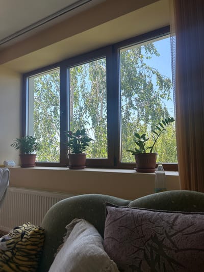 The image shows a room interior with a window displaying a view of trees and the sky. On the windowsill, there are three potted plants: a small palm-like plant on the left, a plant with red flowers in the middle, and a ZZ plant on the right. To the right of the ZZ plant, there is a partially visible bottle of water. The window is framed by a light-colored wall and a beige curtain on the right side. In the foreground, a portion of a sofa is visible with several cushions. One cushion on the left appears to be a tiger-striped plush toy, and another cushion in the center is white and textured. A patterned purple cushion is on the right. A radiator is visible beneath the windowsill. The overall scene suggests a residential setting, possibly in Parvomay, Bulgaria, given the context provided.