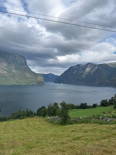 The image depicts a serene fjord landscape in Aurlandsvangen, Norway. Towering green mountains, partially shrouded in dramatic clouds, flank a wide, dark blue fjord. The water's surface is calm, with a few small boats visible in the distance. In the foreground, a vibrant green meadow slopes gently towards the fjord, dotted with wildflowers and a low stone wall. A single tree stands prominently in the middle of the meadow. Power lines stretch across the upper portion of the frame, partially obscuring the sky. The overall impression is one of natural beauty and tranquility.