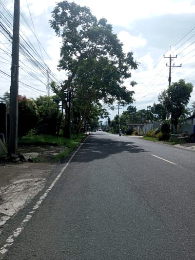 The image depicts a straight, asphalt road extending into the distance under an overcast sky, observed in Domphoog_Dungkarchhoeling, Bhutan. The scene is illuminated by ambient daylight.
**Left Foreground:** A grey concrete utility pole, covered in numerous black overhead electrical and communication wires, stands vertically at the far left edge. Adjacent to the road is a cracked, uneven concrete sidewalk or shoulder, bordered by green grass and weeds.
**Midground:** The dark grey paved road occupies the central and right portions of the frame, featuring a faded dashed white line marking the immediate shoulder on the left and a solid white line defining the lane further right. Tree shadows are cast upon the road from the left. A large deciduous tree with dense green foliage stands prominent on the left, partially obscuring additional utility poles and wires. Further along the left side, more trees and dense vegetation are present, with glimpses of structures behind them. On the right side of the road, a dirt and grass verge separates the roadway from a collection of partially visible buildings and fences, interspersed with smaller trees and shrubs. Another utility pole with crossarms and wires is visible on the right side, further down the road.
**Background:** The road continues into the far distance, appearing to curve slightly. Two individuals are visible operating motorcycles on the road in the distance, moving away from the viewer; one is in the mid-distance on the right lane, and another is further back. Faint outlines of additional structures and a possible distant telecommunications tower are discernible on the horizon through the foliage. The sky is largely covered with white and light grey clouds.