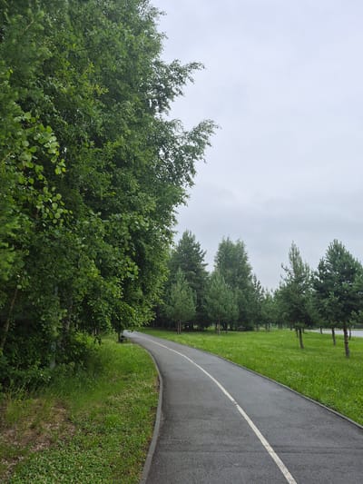 The image depicts a paved pathway curving through a green park area. On the left side of the pathway, dense green foliage from large trees overhangs. The pathway itself is dark asphalt with a white line marking its center. Beyond the pathway to the right, a well-maintained lawn stretches out, dotted with several coniferous trees of varying heights. The sky is overcast and a light gray. The scene is consistent with a public park or recreational area, potentially within the city of Nyagan, Russia, given the surrounding vegetation. There are no people or animals visible in the image, and no discernible activity is taking place. The overall impression is one of a peaceful, natural environment on a cloudy day.