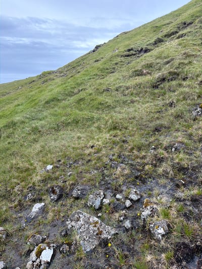 The image depicts a grassy hillside with scattered rocks and puddles, characteristic of the landscape in Sørvágur, Faroe Islands. The terrain is sloped, with a gradient that rises from the foreground towards the upper left of the frame. The grass is predominantly green, interspersed with patches of drier, brownish vegetation and small yellow wildflowers. Several rocks of varying sizes are visible, some covered in moss or lichen, and many are partially submerged in shallow water, indicating a wet environment. The sky above is overcast, with layers of pale grey clouds. The scene is devoid of any human presence or visible structures, presenting a natural, rugged outdoor environment.