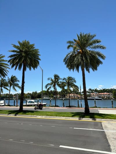 The image depicts a waterfront scene in Miami Beach, United States of America, on a clear, sunny day. In the foreground, an asphalt road with white lane markings and a yellow border runs horizontally across the frame. A strip of green grass and a sidewalk are situated between the road and the waterfront. Several palm trees, characteristic of the region, are prominent. The middle ground features a calm body of water, likely a canal or bay, lined with pilings. Various boats are docked or cruising on the water, including at least two white yachts and a dark-hulled vessel. On the opposite side of the water, a row of elegant residential buildings with red-tiled roofs and lush landscaping is visible. In the immediate middle ground, on the sidewalk area, a person is riding a scooter, facing towards the right of the frame. The sky above is a vibrant, cloudless blue.
