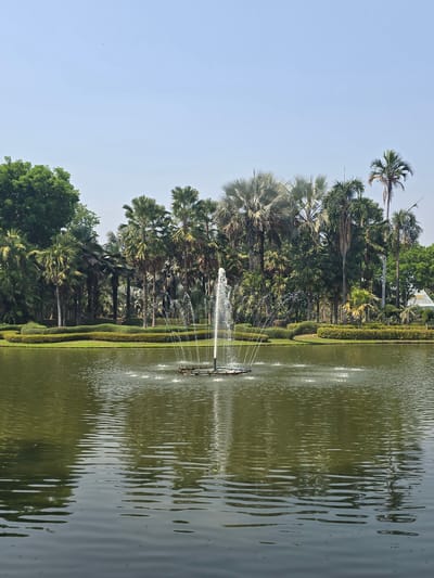 An outdoor scene in Ban Phaya Kot Ana Kaeo, Thailand, depicts a landscaped park setting centered around a large body of olive-green water. A multi-tiered fountain is active in the middle of the water, emitting a primary vertical stream and multiple outward-spraying jets, creating concentric ripples on the surface. The water reflects the overhead light blue sky, which is clear and cloudless. The far bank of the water is delineated by a line of meticulously trimmed green hedges. Behind the hedges, a dense array of trees forms the background, predominantly comprising various tall palm trees with green and grayish fronds, interspersed with other broadleaf trees. On the far right, a light-colored, possibly pyramidal-roofed structure is partially visible amidst the foliage. No individuals or animals are present.