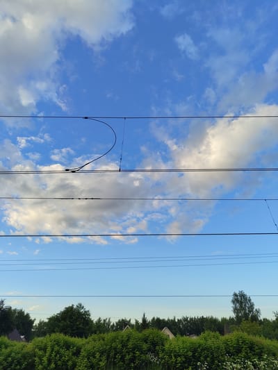 This is a landscape photo taken in Tsibino, Russia. The image features a bright blue sky with scattered white clouds, suggesting it is daytime, likely late afternoon or early evening due to the warm tones in some of the clouds and the soft lighting on the foliage. The scene is divided by multiple parallel overhead wires, likely for an electric railway or power lines, which run vertically through the frame.
On the right side of the image, a dense line of lush green trees and bushes forms the horizon. Several small, peaked rooftops of houses are visible peeking through the foliage, indicating a residential area or a village. A single, distinct tree with drooping branches stands out amidst the greenery. The overall atmosphere is peaceful and natural, with the man-made element of the wires contrasting with the organic landscape. No people are visible in the image. There is no visible text.