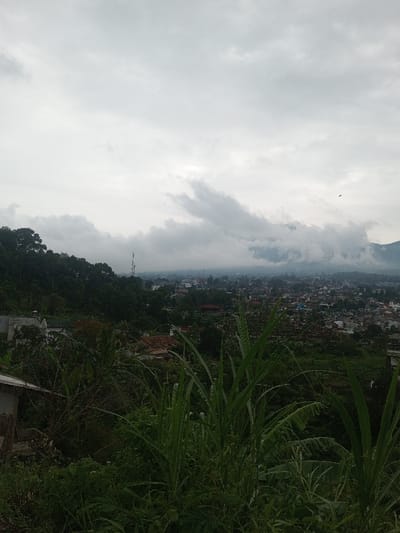 The scene presents an elevated, panoramic view of the city of Bhupalpally, India, observed under a heavily overcast sky. The immediate foreground is dominated by dense green vegetation, primarily consisting of tall grasses and leafy plants. On the far left, a portion of a structure with a light-colored roof is visible beneath this foliage. In the midground, a forested hillside extends on the left, hosting a tall communication tower. Below and extending into the background is the urban area of Bhupalpally, characterized by numerous closely built structures, predominantly with dark or gray rooftops, intermingled with areas of green foliage. The distant background features mountains partially obscured by thick, low-lying clouds or mist, which blend into the uniformly gray, cloudy sky. A small, dark avian form is visible in the upper-right quadrant of the sky. No human subjects or explicit actions are discernible.