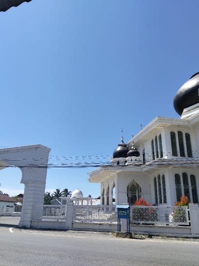 A white mosque with black domes stands prominently against a clear blue sky. Architectural details include arched windows and intricate white lattice fencing. A large white archway frames the scene, while a blue mailbox sits near the roadside in front of the mosque. A smaller white dome is visible in the background. Vegetation, including red flowers and palm trees, adds a touch of color to the scene. The setting appears to be a sunny day.