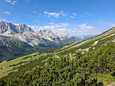 The image depicts a mountainous landscape in Mieming, Austria. The foreground is dominated by lush green pine trees, some of which show small cones. Beyond the pine trees, a steep, grassy slope descends into a valley. The valley floor is a vibrant green meadow dotted with scattered pine trees and a winding white path. Further in the distance, a range of rugged, rocky mountains rises against a bright blue sky dotted with white clouds. A building, possibly a mountain hut or observatory, is visible on the slope in the middle distance. The overall scene is one of natural beauty and tranquility, characteristic of the Alps.