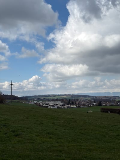 A wide-angle landscape photograph captures a panoramic view of an area identified as being in or around Fribourg - Freiburg, Switzerland, under a partly cloudy sky. The foreground consists of a gently sloping, vibrant green grassy field with small white flora. In the midground to the left, a tall utility pole with three cross-arms and multiple power lines extends horizontally towards the right. Below the power lines and partially obscured by a slight rise in terrain, a paved road or highway is visible, with a small cluster of bare-branched trees further left.

The central midground features a developed area comprising a mix of structures: multi-story commercial or light industrial buildings with flat roofs (some white, some grey) and a cluster of residential-style houses with pitched roofs. A large, dark green hedge runs along the right side of the midground, and a small white cylindrical object, possibly a vent or marker, stands in the field. A small, dark, possibly animal, figure is also present in the field near the hedge.

The background reveals rolling green hills with scattered patches of darker forest. In the far distance, a range of mountains with visible snow-capped peaks defines the horizon. The sky overhead is a dynamic mix of clear blue patches and large, fluffy cumulus clouds, varying from bright white to darker grey. A single small, dark bird is captured in flight in the upper-left quadrant of the sky. No human subjects or direct interactions are visible.