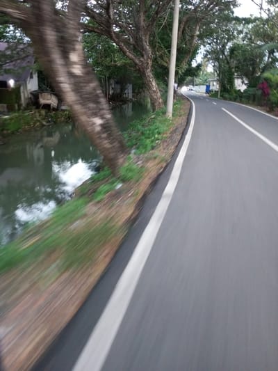 The image depicts a road scene in Walennae, Indonesia. On the left side of the road, a canal or body of water is visible, with trees and vegetation lining its bank. A large tree trunk leans over the water. In the background, buildings and more trees can be seen. The road itself is paved and appears to be a two-lane road with a white line marking the lanes. The perspective suggests the image was taken from a moving vehicle. The overall environment is natural and somewhat rural, with evidence of development along the roadside.