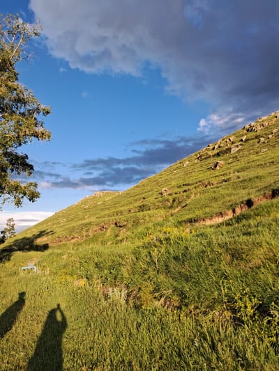 The image depicts a grassy hillside under a partly cloudy sky. The hill is covered in green grass and scattered rocks, with some visible soil erosion marks forming diagonal lines. In the foreground, two shadows of people are cast on the grass, one on the left and another on the right, seemingly taking a photo. A tree with green leaves stands on the left side of the image. In the background, the sky transitions from a bright blue to darker, more ominous clouds. The scene appears to be a natural outdoor environment, likely a rural or undeveloped area within the city of Artsvakar, Armenia.