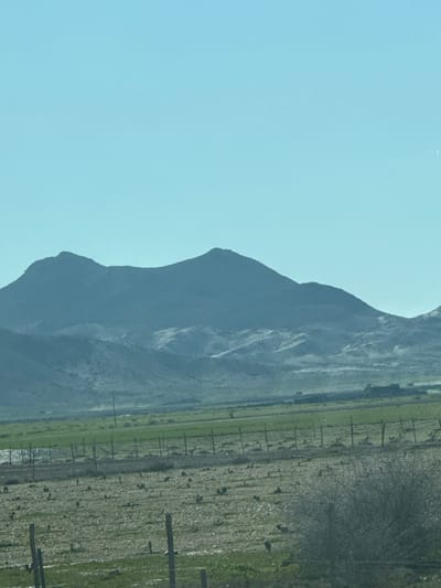 The image displays a wide, arid landscape under a clear, light blue sky, situated in Nzalat Laadam, Morocco. In the background, a dark, rugged mountain range with multiple peaks dominates the horizon. Below the primary mountain range, several lighter-colored, undulating hills or foothills are visible. The mid-ground features a horizontal band of vibrant green agricultural fields, suggesting cultivation. Separating these green fields from the foreground is a linear fence line constructed with numerous wooden posts and wire. The immediate foreground consists of a relatively barren, lighter-toned field sparsely covered with small, dark, stubby plants, possibly cacti. More prominent wooden fence posts are visible in the extreme foreground, along with a dense, leafless shrub located in the lower right corner. No individuals, explicit actions, or direct interactions are observed within the frame.