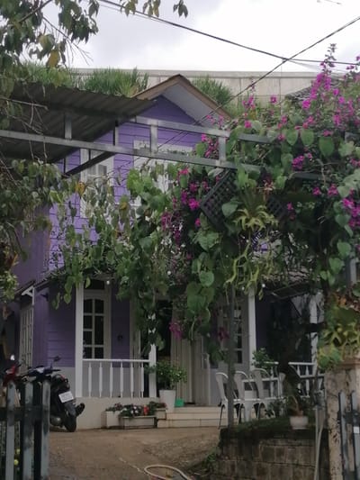 The image captures a two-story purple house with white trim, set against a cloudy sky. The house is partially obscured by lush green foliage and vibrant purple bougainvillea flowers climbing a metal trellis and the front of the house. A corrugated metal awning extends over the first floor. A white railing lines the front porch, and several white chairs are visible on the porch. In the foreground, a motorcycle is parked on the left side, and to the right, a stone wall with a metal fence stands. The ground appears to be a mix of dirt and pavement. The scene suggests a residential or possibly a small commercial establishment in a green, possibly tropical or subtropical environment, consistent with the highlands of Lang Biang, Đà Lạt, Vietnam. There are no people visible in the image.
