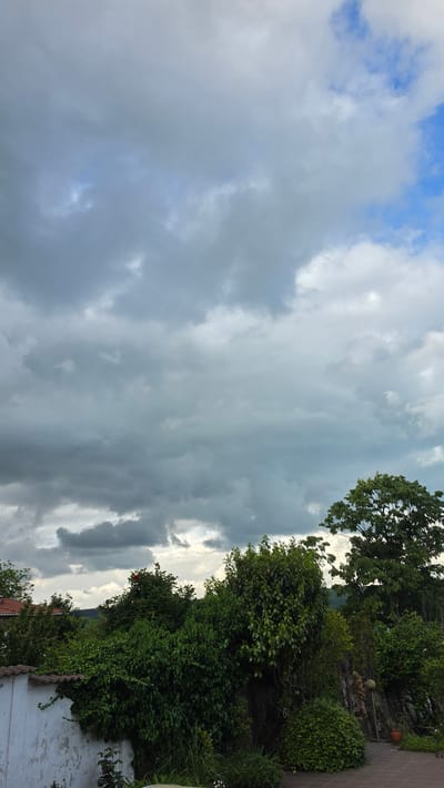 The image depicts a cloudy sky with a hint of blue visible in parts, adjacent to lush green foliage. A variety of trees and bushes are present on the right side of the image, next to what appears to be a wall or building. The location is Rogachevo, Bulgaria. No people or distinct objects are identifiable beyond the mentioned elements. No specific actions or interactions are visible in this static image.