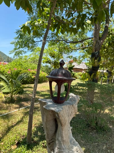 A dark brown, vintage-style lantern sits atop a weathered, light-colored tree stump in a lush, green outdoor setting. The lantern has an ornate top and a clear glass enclosure revealing a white bulb. The stump is rough and textured, with visible grain patterns. In the background, there are various trees and plants, including palm fronds and flowering bushes with pink and red blossoms. A small, thatched-roof building can be seen in the distance, with a hilly landscape behind it. The sky is a clear, bright blue. The scene appears to be a well-maintained garden or park area.