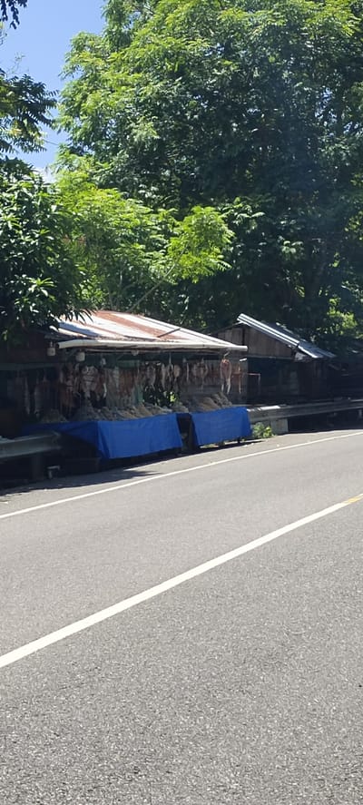 In Layeun, Indonesia, a roadside market displays numerous dried fish hanging from a stall. The stall has a corrugated metal roof, some of which is rusted. Underneath the hanging fish, blue tarps cover the ground. A section of asphalt road with a white line marking runs in the foreground. Lush green trees and foliage form a dense backdrop behind the market, suggesting a natural, possibly tropical, environment. The sky above is clear and blue.