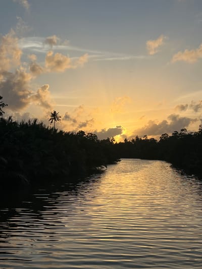 The image captures a serene sunset scene along a river in Denipitiya, Sri Lanka. The sky is a gradient of soft blues and warm yellows, with scattered clouds tinged by the fading sunlight. Rays of sunlight pierce through the clouds, creating a dramatic and ethereal effect.
The foreground is dominated by a river, its surface rippling and reflecting the golden hues of the sunset. The water is calm, with gentle waves creating a textured, shimmering effect. To the left of the river, a dense, dark silhouette of lush tropical vegetation lines the bank. This foliage, possibly mangroves or dense jungle, is so dark it appears almost black against the brightly lit sky and water. A solitary palm tree stands out against the sky amidst the foliage, its silhouette clearly defined.
The time of day is clearly sunset, indicated by the low angle of the sun and the warm, golden light. The weather appears clear, with the clouds adding to the beauty of the sky rather than obscuring the sun. The location is identifiable as Denipitiya, Sri Lanka, hinted by the tropical vegetation and the overall landscape.
The overall mood of the image is peaceful and tranquil, evoking a sense of natural beauty and the quiet end of a day. There is no visible text in the image.