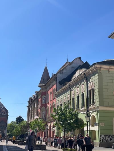 The image depicts a vibrant street scene in Subotica, Serbia, under a clear, bright blue sky, indicating sunny daytime weather. The perspective looks down a city street lined with multi-story buildings, showcasing historical European architecture.
On the left side of the frame, a prominent building features a muted green facade adorned with intricate decorative elements, including cornices and patterned panels. Its ground floor has arched entrances. A light-colored plaque is mounted on its wall, and below it, a white sign clearly reads "ADVOKAT TRAJKOVIC," indicating a lawyer's office. To the right of this building's entrance, some graffiti is visible. Further down the street, a distinctive reddish-brown building stands out with elaborate white ornamentation around its windows and a notable pointed turret or spire on its roof. Other buildings with varying facades and rooflines are also visible, contributing to the cityscape.
The street is bustling with numerous people walking, standing, and conversing, suggesting a lively daily routine. They are dressed in casual attire. A group of individuals can be seen congregating near the green building, while others are scattered along the pavement. Green trees with lush foliage are interspersed along the street, providing natural elements against the urban backdrop. A classic black streetlamp is prominently visible in the mid-ground. In the distance, a small red sign displaying the "mts" (Serbian telecom company) logo is discernible on one of the buildings.
The overall impression is one of a busy, active urban environment with historical architectural charm, experiencing pleasant weather conditions.