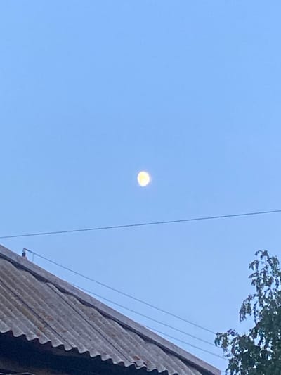 The image shows a clear, pale blue sky with the moon visible as a small, bright orb slightly to the left of the center. In the upper right corner, the dark green leaves of a tree are silhouetted against the sky. Running diagonally across the image are two thin wires, likely power lines. In the lower right, a section of a corrugated metal roof is visible, angled upwards and occupying the right third of the frame. The roof appears weathered and slightly rusty. The overall impression is a daytime scene, possibly late afternoon or early evening given the presence of the moon and the soft light. There is no visible text. The setting appears to be outdoors, possibly residential, in Mamontovo, Russia.