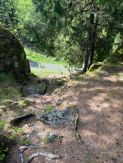 The image depicts a scene in Lommedalen, Norway, featuring a forest edge transitioning into a paved path. The foreground shows a steep, moss-covered embankment with exposed roots and pine needles. The path, likely a walking trail, is visible between the embankment and a dense forest of evergreen trees. The light suggests a sunny day with shadows cast by the trees. No people or animals are directly visible. The setting indicates a natural environment with human modifications for recreational use.