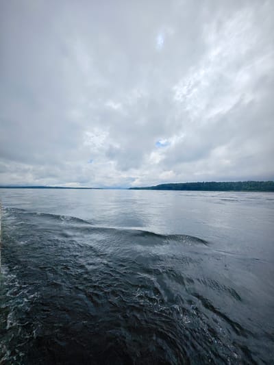 The image captures a wide expanse of calm water under a cloudy sky. In the foreground, the water exhibits ripples and a wake, suggesting movement, possibly from a boat. The middle ground features a vast body of water stretching towards a tree-lined horizon. The horizon line is defined by a dense, dark green forest that extends across the width of the image. The sky is overcast with thick, gray clouds, though a few brighter patches indicate diffused sunlight. A faint glimpse of blue sky is visible between the clouds in the distance. On the far right horizon, a faint structure resembling a bridge or distant landmass can be observed. The overall scene is natural and serene, characterized by the dominant presence of water and sky. The specific location in the city of Vysokogorsky, Russia, cannot be definitively identified from the visual information provided.