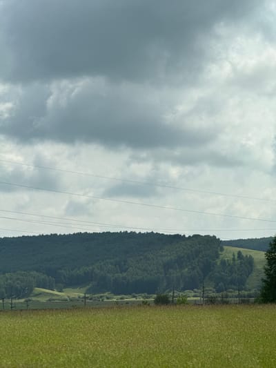 A wide shot captures a cloudy sky above a rolling, forested hill and a field of tall grass. In the mid-ground, several utility poles and wires stretch across the landscape. The scene appears to be in Nalobino, Russia, based on the provided information. The overall atmosphere is serene and natural.