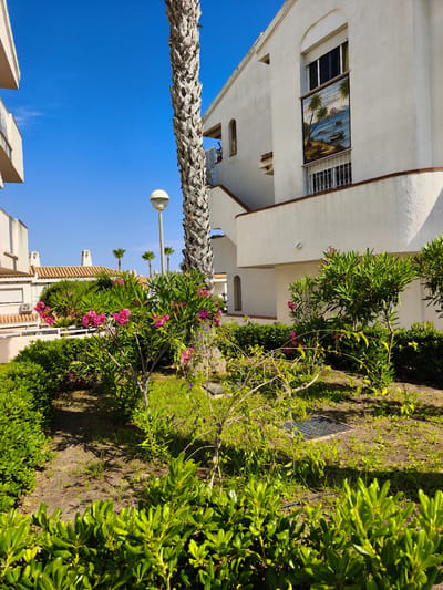 The image depicts a sunny outdoor scene in the city of Dehesa De Campoamor, Spain. In the foreground, lush green bushes and flowering plants with pink blossoms are visible. Behind them, a tall palm tree trunk stands prominently. A white building with a distinct arched window featuring a mural of a coastal scene with boats and palm trees is situated to the right. Other buildings with white facades and tiled roofs are visible in the background, along with palm trees and a street lamp. The sky is a clear, vibrant blue. The overall environment appears to be a well-maintained garden area adjacent to residential buildings, suggesting a resort or residential complex setting. There are no people visible in the image.