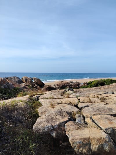The image depicts a rocky coastline with the ocean and a sandy beach in the background. The foreground is dominated by large, weathered rocks with dry grasses growing between them. The sea is a deep blue, with gentle waves breaking on the shore. The sky is clear and pale blue. A few small figures, presumably people, can be seen on the beach. The overall impression is one of a rugged and natural coastal landscape.