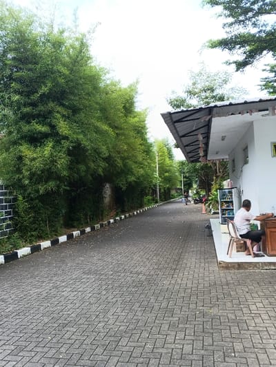 The image captures an outdoor scene featuring a paved path or road, bordered by lush greenery on one side and a building with an overhang on the other. The setting appears to be a quiet, possibly residential or institutional area, under a bright, overcast sky.
On the left side of the frame, a dense wall of tall, vibrant green bamboo trees stretches into the distance, creating a natural boundary. Below the bamboo, a black and white striped curb delineates the edge of the path. At the very forefront of the left side, a section of a black and white checkered wall is visible, complementing the curb's design.
The path itself is made of grey interlocked pavers, laid in a herringbone pattern, extending from the foreground towards a gentle curve in the distance. The surface appears well-maintained.
On the right side of the image, a white building with a dark grey corrugated metal roof provides shelter. The roof extends outwards, supported by visible metal trusses, creating a covered patio or porch area. Under this overhang, in the immediate foreground, an older man is seated on a light brown plastic chair. He is facing a wooden counter or desk, with his back partially turned to the viewer. He wears a light-colored short-sleeved shirt and dark shorts, and appears to be engaged with something on the counter, possibly using a small device or looking at papers.
Adjacent to the man and the building, a glass-fronted refrigerator or display cabinet is visible, filled with various colorful items, likely beverages or snacks. Potted plants and other greenery are placed around this area, adding to the natural feel.
Further down the path, in the mid-ground, a person can be seen walking or riding in the distance, and a red scooter or motorcycle is parked near the side of the road. More trees line the path as it recedes into the background.
The overall lighting is bright and even, suggesting either midday or early afternoon, with no harsh shadows, indicating a cloudy or hazy day. The scene evokes a sense of tranquility and everyday life. No specific text is clearly legible in the image.