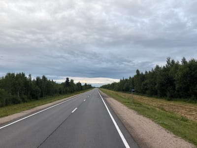The image shows an asphalt road with white lane markings, stretching into the distance under a cloudy sky. The road is bordered by a grassy shoulder on the right and a dense forest on both sides. A blue sign with the number "67" is visible on a post along the right shoulder. The area appears to be rural, with no buildings or people visible. The overall impression is one of a quiet, natural landscape on a somewhat overcast day.