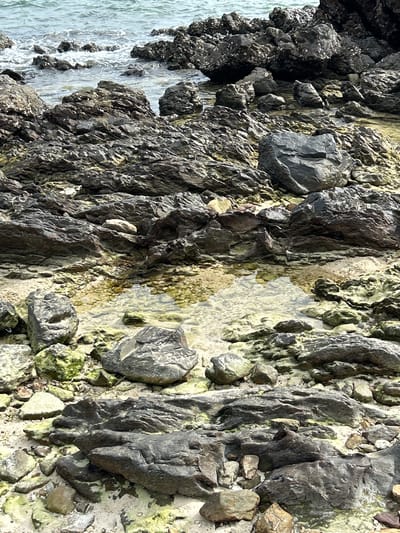The image shows a close-up, vertically oriented view of a rocky shore at low tide. The rocks are dark gray and black, with rough textures, and are covered in patches of light green algae. The sea, a muted blue-gray, is visible on the left side, with gentle waves lapping at the base of the rocks. In the center of the image, a small tide pool has formed, reflecting the sky and the surrounding rocks. The tide pool has a sandy bottom with small pebbles. The overall scene suggests a natural coastal environment. The lighting is bright, indicating it is likely daytime, with no specific indication of weather conditions other than the presence of water. The location context provided is Tambon Phru Nai, Thailand. There is no text visible in the image.