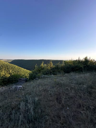This is a landscape photograph taken from a high vantage point overlooking a valley covered in dense green forest. The sky is clear and blue, with a slight gradient towards lighter blue near the horizon. In the foreground, there is rough, dry grass and some rocks. The midground is dominated by the lush green trees of the forest, with some bushes and smaller trees in the immediate foreground. In the distance, the valley stretches out, with a range of rolling hills covered in the same dense foliage. On the far left horizon, a small settlement or town is visible, with buildings appearing as small white specks against the green landscape. The lighting suggests it is either early morning or late afternoon, with sunlight illuminating the trees from the side. The location is identified as Pryvorottia Druhe, Ukraine. There are no people or animals visible in the image.