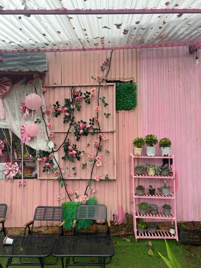 The image captures an outdoor area within a commercial establishment in Đưng K'Si, Vietnam. The dominant feature is a vertical wall constructed from light pink corrugated metal sheeting, exhibiting minor weathering. An overhead translucent corrugated panel roof, supported by pink metal framework, is visible, covered with numerous dry leaves.

A prominent rectangular section of the pink wall is adorned with multiple artificial rose vines featuring pink blooms and green foliage. To the left of this section, two pink spherical paper lanterns hang, flanked by various pink fabric bows and draped white translucent material. An adjacent section of weathered grey corrugated metal is visible on the far left. To the right of the rose-decorated panel, an irregular cutout in the pink wall reveals a square of artificial green turf.

On the right side of the scene, a five-tiered pink wooden shelving unit displays multiple potted succulent plants. A single incandescent bulb hangs from a black cord near the upper right.

The foreground features two black slatted metal chairs with wood armrests and two corresponding black slatted metal tables, positioned on artificial green turf. A white cup, containing pink artificial flowers, lies horizontally on the left table. Scattered dry leaves and a dark container of soil are present on the turf and along the base of the wall. No individuals are present.