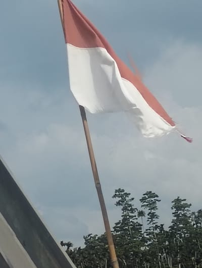 The image captures a red and white flag, likely the Indonesian flag, fluttering against a pale blue sky with scattered clouds. The flag is attached to a wooden pole that extends diagonally upwards from the lower right corner of the frame. The flag itself appears somewhat tattered, with frayed edges, particularly on the white section. In the foreground, a gray, angular structure runs along the bottom left of the image. Beyond the flag and pole, a dense line of green trees, some tall with distinctive foliage, forms the horizon against the sky. The scene suggests an outdoor location, possibly in the city of Teupinreudeup, Indonesia, given the context. There are no people visible in the image.