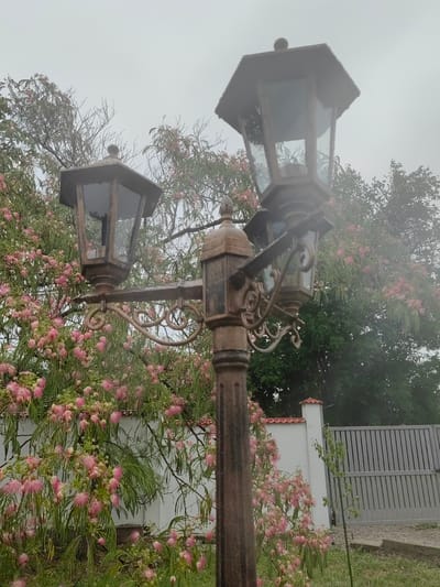 This media file depicts a rusty, ornate lamppost with two lamps, positioned in the foreground. The lamppost is set against a backdrop of a blooming tree with delicate pink flowers and lush green foliage. Behind the tree, a white wall with a tiled edge is visible, topped by a grey metal gate. The scene is shrouded in a soft, diffused light, suggesting an overcast or foggy day. The overall atmosphere is serene and slightly melancholic, perhaps due to the muted colors and the misty weather. The location is identified as Lom, Bulgaria. No people or text are visible in the image.