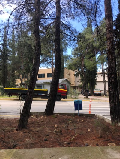 The image shows a scene in Agia Paraskevi, Greece, at the coordinates 37.999, 23.819. Two large pine trees are in the foreground, obscuring the view of the street. A red and black truck with a yellow stripe on the side is stopped at the intersection. The truck is facing to the right, towards a building with a spiral staircase. The street is paved and has a crosswalk marked with white lines. There are orange and white traffic cones on the sidewalk to the right of the crosswalk. A blue recycling bin is on the sidewalk to the left of the crosswalk. A few other vehicles are parked on the side of the street. There are several trees and shrubs on both sides of the street. The sky is blue and partially obscured by the trees. The view is from behind the two large pine trees, looking out towards the street. The scene appears to be on a quiet residential street.