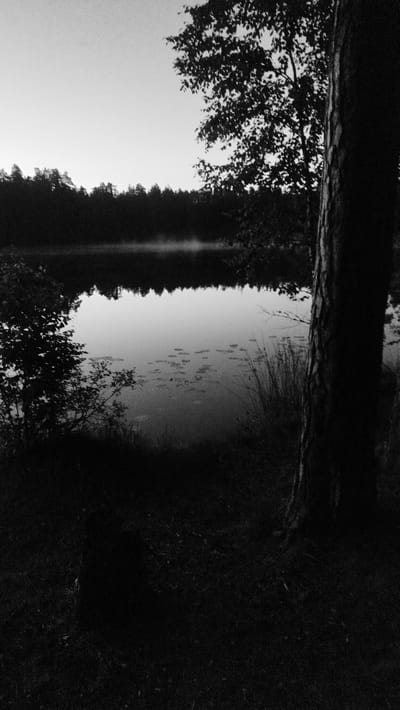 The image depicts a serene, dark, and moody scene of a lake at what appears to be either dawn or dusk. The monochromatic filter lends a somber and atmospheric quality to the photograph. In the foreground, to the right, the rough bark of a tree trunk is prominently featured, dominating a portion of the right side of the frame. Its texture is visible, suggesting a natural, outdoor setting. To the left and in the mid-ground, the dark silhouettes of trees and foliage frame the lake.
The lake itself occupies the central and left portions of the image. Its surface is calm, reflecting the overcast sky and the dark tree line that stretches across the horizon. There is a faint mist or fog hovering just above the water's surface, adding to the ethereal atmosphere. Scattered across the lake's surface are lily pads, their dark, circular shapes a subtle contrast to the water. The far shore is lined with a dense forest, the trees appearing as a dark, uniform mass against the lighter sky. The sky above is a gradient of pale gray, suggesting low light conditions. The overall impression is one of quiet solitude and the raw beauty of nature.
The location is identified as the city of Orekhovo, Russia. While the specific context of the photograph within Orekhovo is not provided, the scene itself points to a natural body of water surrounded by forest, common in such regions. No people or explicit actions are depicted in the image.