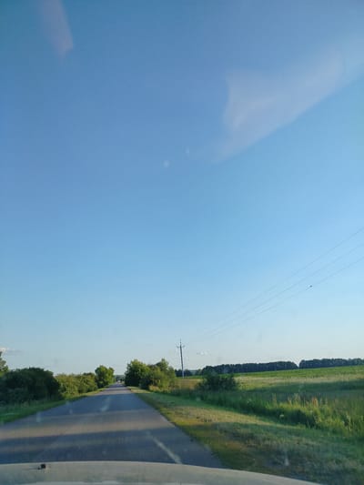 The image shows a view from a vehicle traveling on a paved road in the countryside. The road is lined with green grass and trees. In the distance, there are fields and a line of trees. The sky is clear and blue with a few clouds. The image appears to have been taken during the daytime, possibly late afternoon, given the low angle of the sun casting long shadows on the road. There is a utility pole with wires visible on the right side of the road. No people or specific landmarks of Prokazna, Russia are discernible.
