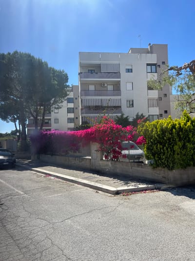 This media file captures a sunlit street scene in what appears to be a residential area, likely in Bari, Italy, as indicated by the provided context. The image is oriented vertically (rotated 90 degrees clockwise), showing a clear blue sky dominating the left side, with bright sunshine casting a glare.
On the right, a modern, multi-story apartment building with a flat roof stands prominently. The building features a light-colored facade (possibly white or light grey) with a mix of small square windows and larger rectangular windows, some of which have striped roller shutters or blinds. Air conditioning units are visible on some balconies. The top part of the building has a darker grey section.
In front of the building, a lush display of vegetation is present. A vibrant bougainvillea plant with both bright pink and deeper purple flowers cascades over a fence or wall that separates the building's property from the street. Behind the bougainvillea, a dense green hedge or shrub adds more greenery. Tall, mature trees with distinctive bark and needles, possibly pine trees, are visible in the foreground and background, providing shade.
The foreground features a paved road or street, showing some cracks in the asphalt. A concrete curb and a narrow sidewalk run alongside the vegetation. Scattered pink flower petals are visible on the curb and road. A portion of a parked car is visible in the lower right corner, with a partially visible Italian license plate showing "FG 0...", indicating a province in Italy (Foggia is near Bari).
The scene suggests a warm, clear day, possibly late morning or early afternoon, given the intensity of the sunlight and shadows. There is no specific activity taking place; the image presents a static, tranquil street view. No other discernible text is visible besides the partial license plate.