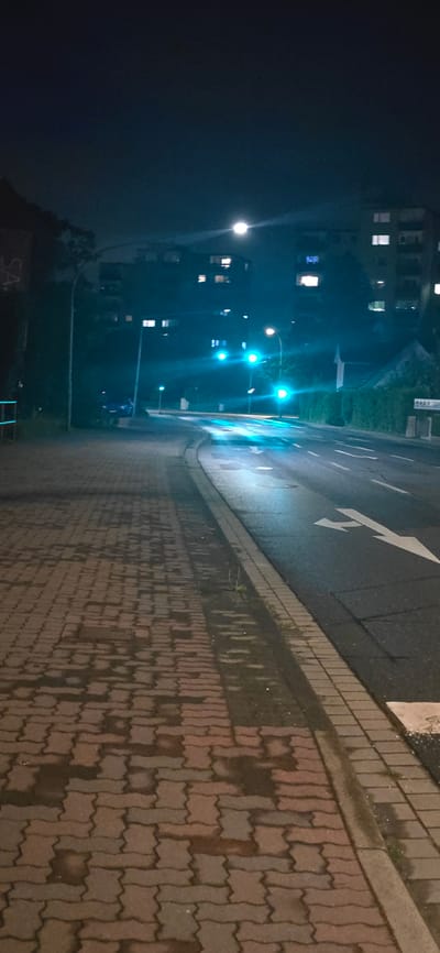The image depicts a nighttime street scene in Seevetal, Germany, characterized by urban elements and artificial lighting. In the foreground, a red brick sidewalk runs along the left side of the frame, appearing damp and reflecting the surrounding light. A dark asphalt road occupies the right side of the image, with white lane markings, including a left-turn arrow, visible. A light-colored curb separates the sidewalk from the road.
Further down the road, traffic lights are illuminated with green signals, casting a turquoise glow on the wet asphalt. Buildings with illuminated windows are visible in the background, suggesting a residential or commercial area. Streetlights are also present, contributing to the overall illumination. A dark-colored car is parked on the left side of the road, partially obscured by foliage. The sky is dark, indicating it is nighttime. The overall impression is one of an urban environment at night, with a focus on the street, sidewalk, and traffic infrastructure.