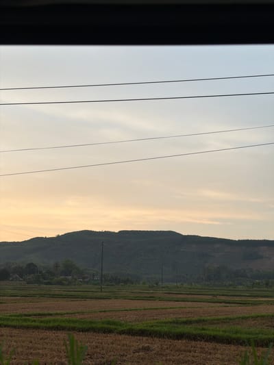 The image displays a serene rural landscape bathed in the soft, diffused light of either dawn or dusk. The sky, occupying the upper portion, transitions smoothly from a pale blue-grey on the left to warmer, light orange and yellow hues on the right, with faint, wispy clouds scattered across it. Several thin, dark lines, likely overhead power or communication cables, stretch horizontally across the sky. A thick, dark vertical band on the far left acts as a partial frame, suggesting the image was captured from within a structure or vehicle.
In the midground, a prominent, dark green mountain range or large hill, densely covered in foliage, extends horizontally across the scene. Below the mountain, the foreground and midground are dominated by cultivated fields, strongly resembling rice paddies. These fields show varying stages of agricultural activity, with some patches consisting of dry, golden-brown straw (possibly post-harvest) and others exhibiting vibrant green new growth, arranged in distinct linear patterns.
Two utility poles are visible: one stands clearly in the middle distance within the fields, and another is partially obscured near the base of the mountain. There are no people visible, and no specific activity is taking place, contributing to the tranquil atmosphere. No text is visible within the image. The scene's composition of mountains, rice paddies, and utility lines is characteristic of rural agricultural areas, consistent with the location context of Bình Chương, Vietnam.